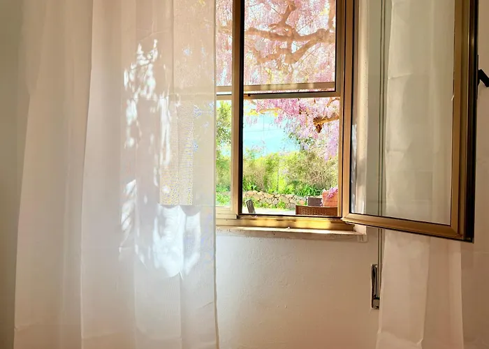 Il Glicine - A 4 Chilometri Dal Mare Di 度假居 奥罗塞伊