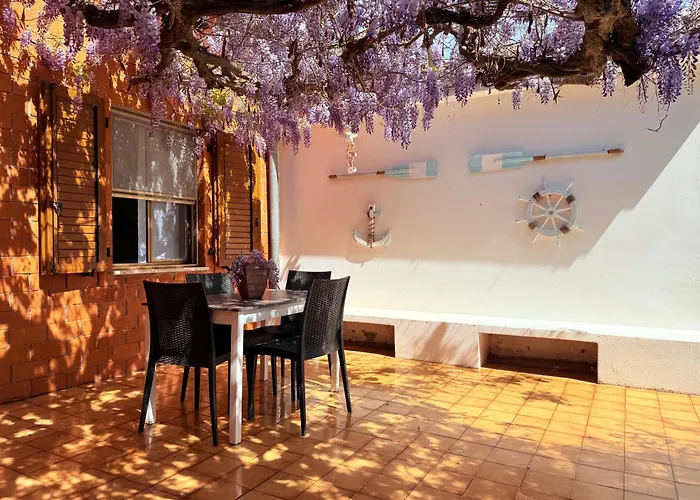 Il Glicine - A 4 Chilometri Dal Mare Di *